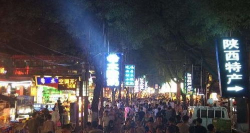 西安城墙—骑自行车还是步行？