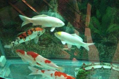 2. 颜色属性对气场影响之阐释