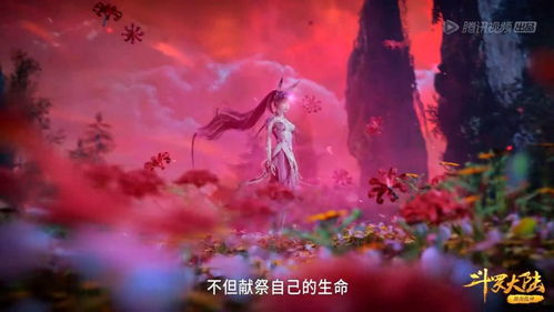 第二节：亲属情感网络中的眼泪符号