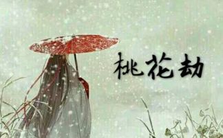 生肖命理：性格特质与情感走向的内在逻辑