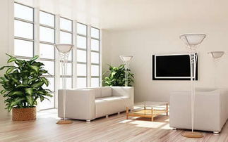 扫把摆放的风水学理论基础