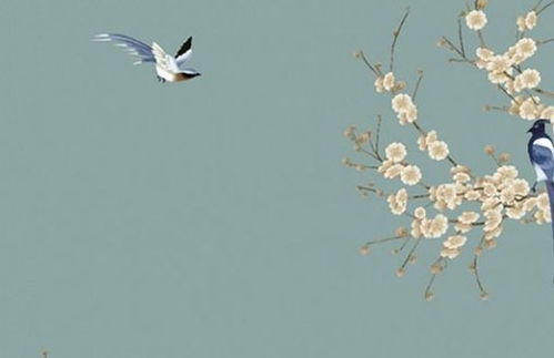 起名秘籍大公开！