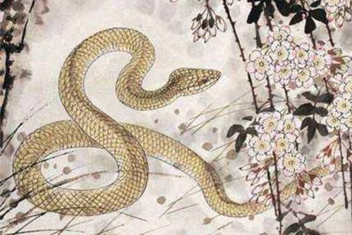 最主要发觉：各月份命理特征解析