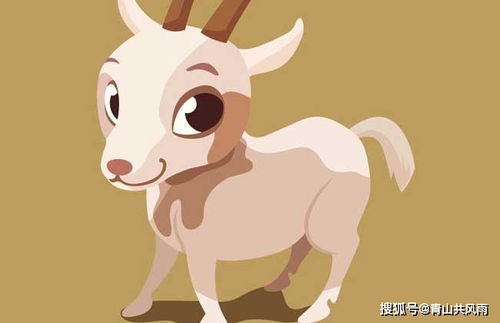 镜子代表哪个生肖？羊镜子是什么生肖的象征？