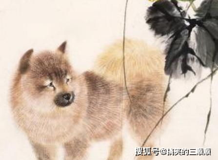 克勤克俭对应什么生肖，养虎为患对应什么生肖？