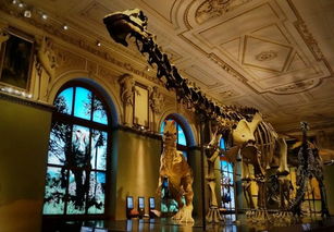 绝了！地下室居然藏着星座许愿池？！