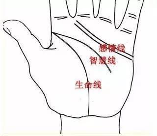 生命线的特殊形态及其象征意义