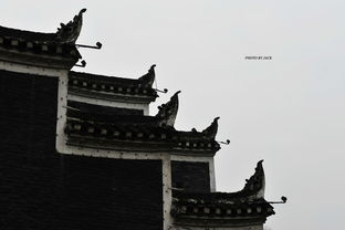 1.1 古代算命文化的兴起与演变