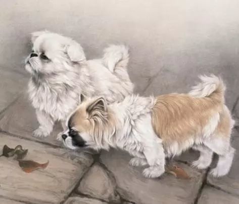 2026年9月属狗运势如何，2025年佩戴什么饰物能转运？