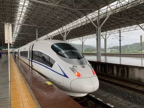 坐上那趟开往春天的列车...哦不是上海