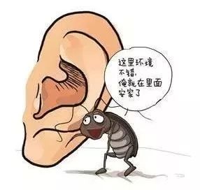 二、耳朵与人体其他部位的关系