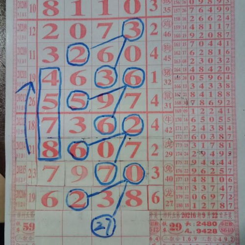 ‘将欲穷千里目，猜中有金钱’是哪一生肖或1到49的数字？