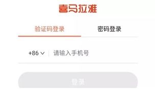 三、 乾卦精神层面与生肖星座及风水布局的交叉验证