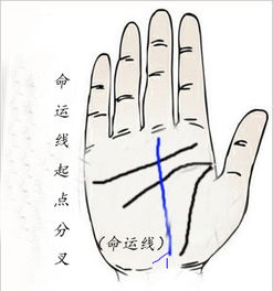 四、 交叉关系及其意义