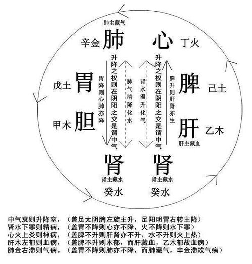 1. 脏腑功能失调与精血欠缺