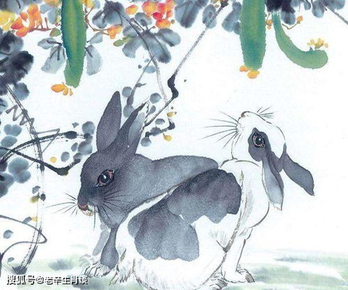 五、 属兔（卯）人士依赖第三方媒介促成恋爱