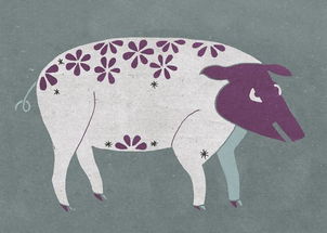 十二生肖羊和猪的财运如何？十二生肖猪财运排行具体是什么含义？