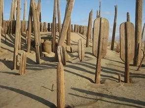 2026年有哪些移动空棺木吉日和逝者安葬吉日推荐呢？