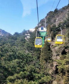 庐山景区：人山人海（真的）+ 高价门票 + “神秘”排队体验