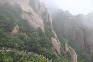 第一章：我以为我在Zuo准备， 其实我在挖坑