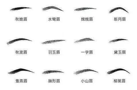 眉弯粗浓