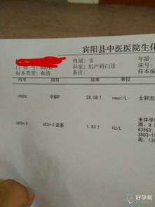 血HCG检查