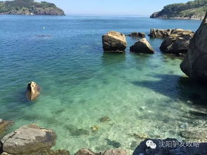 怎么去？随便吧！反正嫩到就行