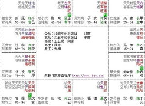 紫微星位及人格特质解析