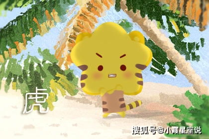 2026年属虎的人爱情运势如何？