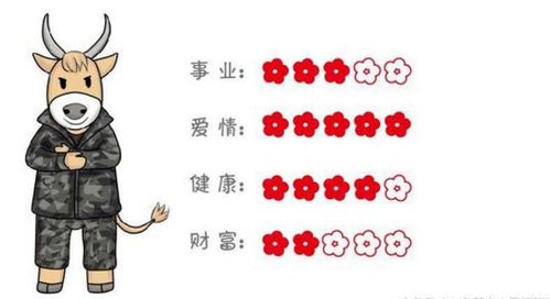 2025年11月28日生肖运势综合研判与