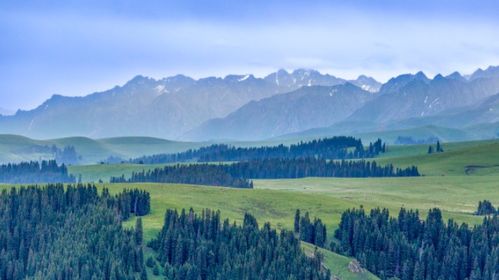 4.1 观鱼台的一千零一级台阶