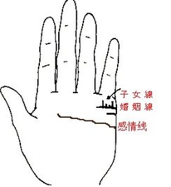 第一章：易经哲学视角下的指纹分类体系