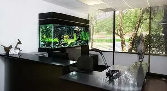 一、 以最高负责人为核心的企业风水布局