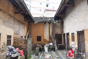 一、 探究背景与对象概述