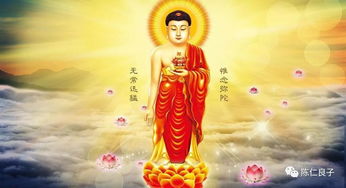 普贤菩萨保佑哪个生肖？12生肖护身佛图片分别代表什么含义？