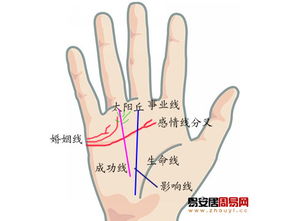 4. 钱财纹：金钱能量的体现