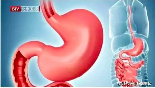 八字如何看出一个人的脾胃或肠胃问题？