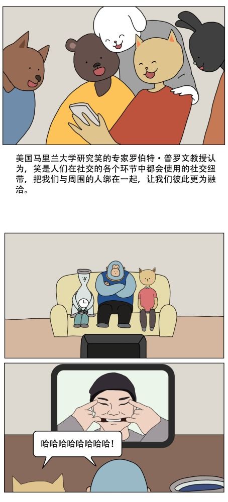 探究背景与意义