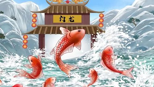 鲤鱼内心的恐惧与混乱