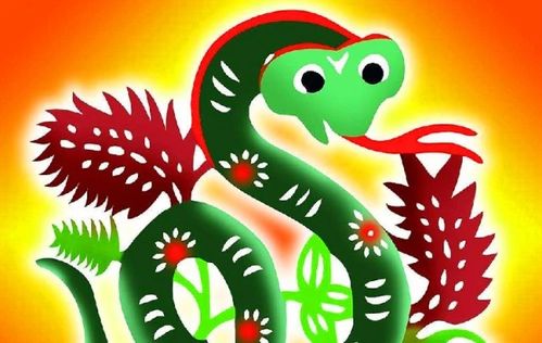 二|核心受益属相较深度解构|基于五行禀赋与时辰耦合关系实证探究