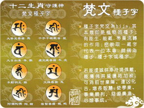 生肖与名字的关联
