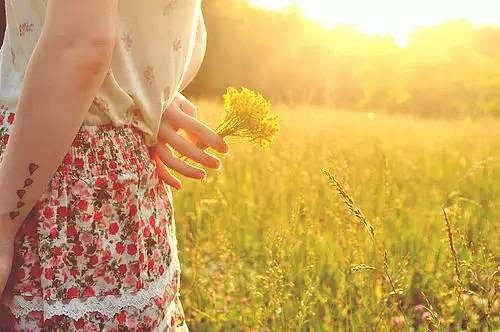 飞不高大全：从玄学到扯淡