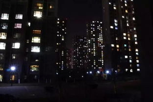 将万家灯火打一生肖，这个生肖是哪个？