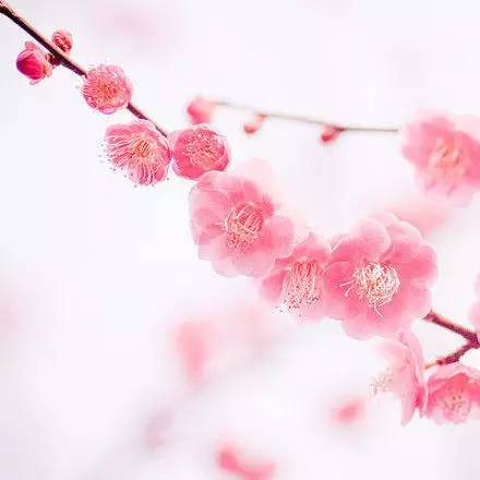 （一）基本格局概述