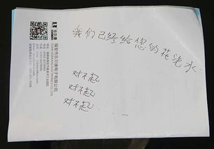一、  梦境意象：盗窃与不安