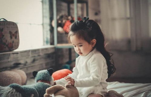 先说说“杨”这个姓的特点