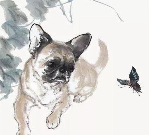 属兔和狗相克相冲的婚姻意味着什么？