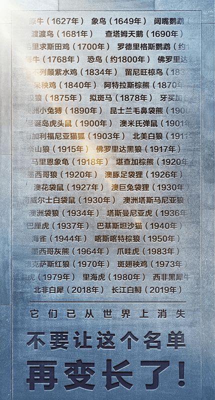 自强精神从“志”字里蹦出来