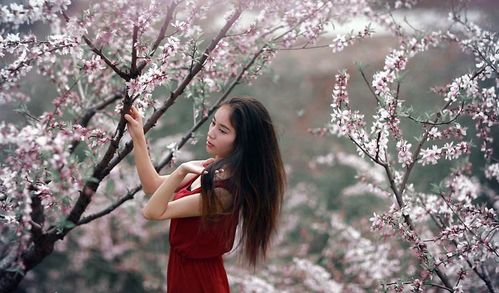 金水旺相遇火运：机遇与爆发力