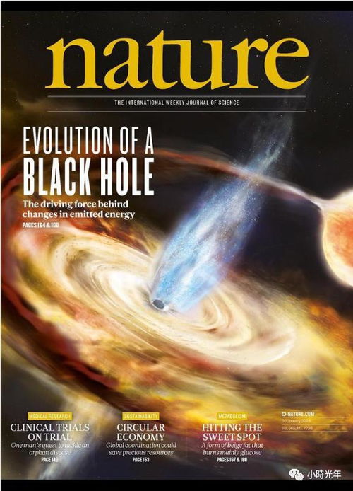 恶魔牌：活力四射与热情奔放